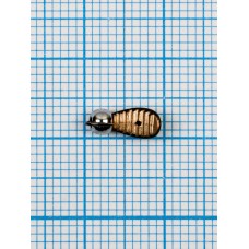 Мормышка Водяной ослик (Asellus aquaticus) 0,55/2, чёрно-золотистый, латунный шар серебро